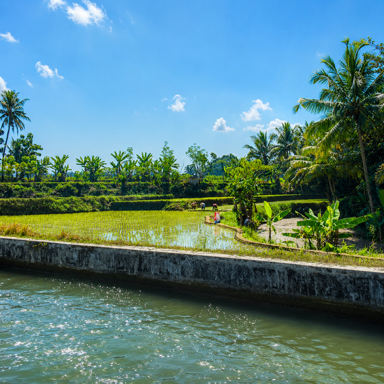 Pemandangan Dusun